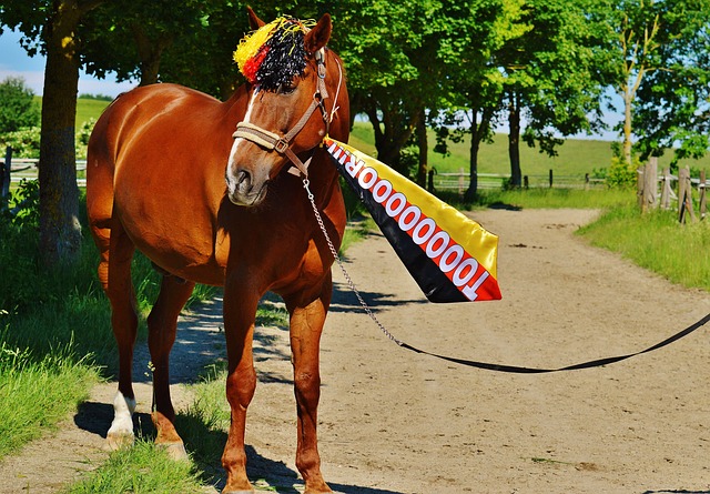 度尝试通过 度尝试通过