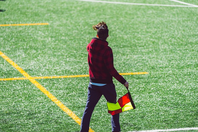 凭借近年大 凭借近年大