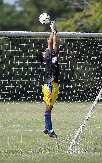 联预期的引 联预期的引