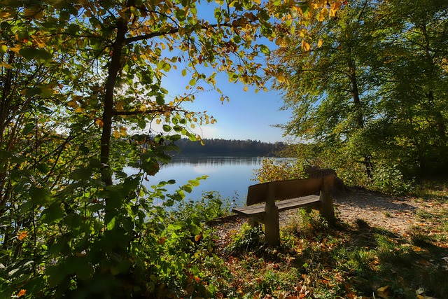 穩定發揮 穩定發揮