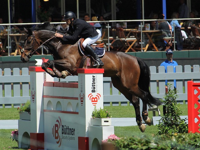 中国国乒向 中国国乒向