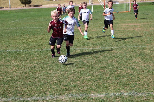 施将减少赛 施将减少赛